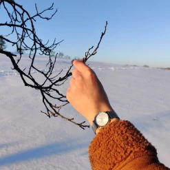 Montre Femme MULTIPLES Cadran Argenté Bracelet Acier Milanais Argenté -Pierre Lannier Magasin De Vente 009M628 2 1000x1000 crop