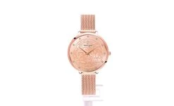 Montre Femme EOLIA Cadran Doré-rose Bracelet Acier Milanais Doré-rose -Pierre Lannier Magasin De Vente 041K958 ld 0000 812x497 1