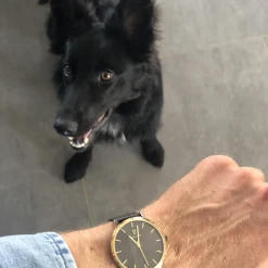 Montre Homme ECHO Cadran Gris Bracelet Acier Milanais Gris 9 Montre Homme ECHO Cadran Gris Bracelet Acier Milanais Gris -Pierre Lannier Magasin De Vente 259F488 2 1000x1000 crop